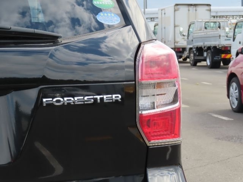 FORESTER