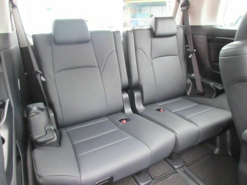 ALPHARD-45