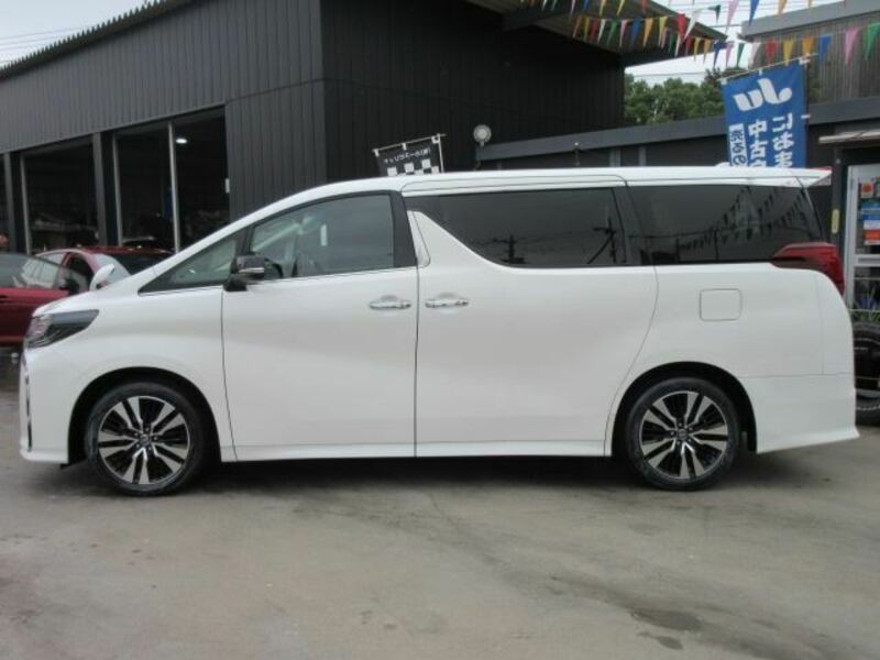 ALPHARD-49