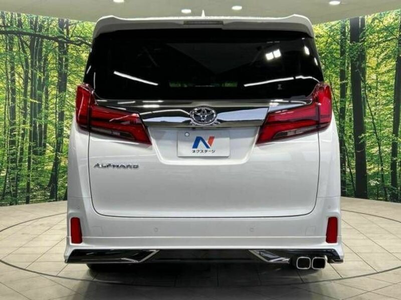 ALPHARD-15