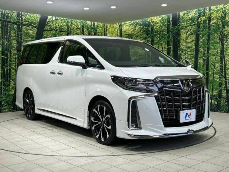 ALPHARD-16