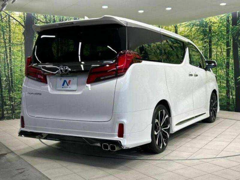 ALPHARD-17