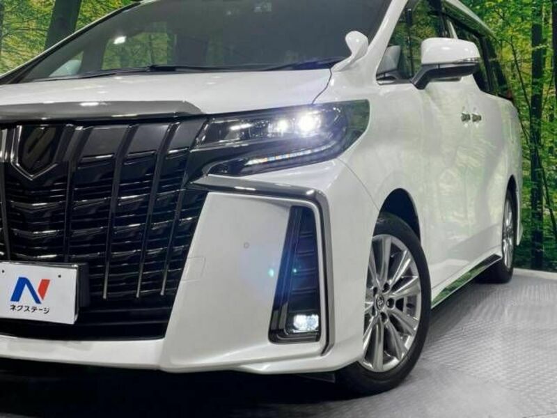 ALPHARD-12