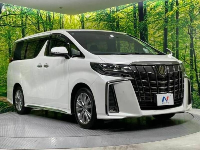 ALPHARD-16