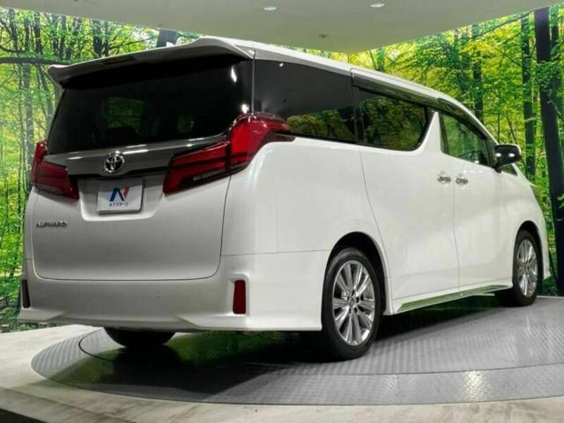 ALPHARD-17