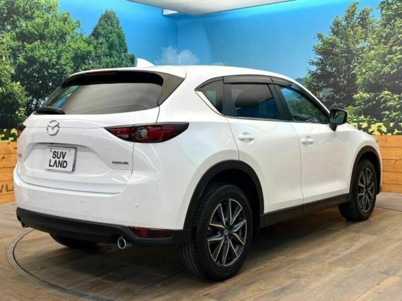 CX-5-17