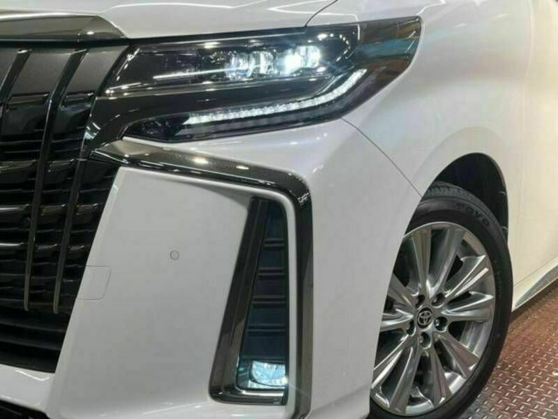 ALPHARD-13