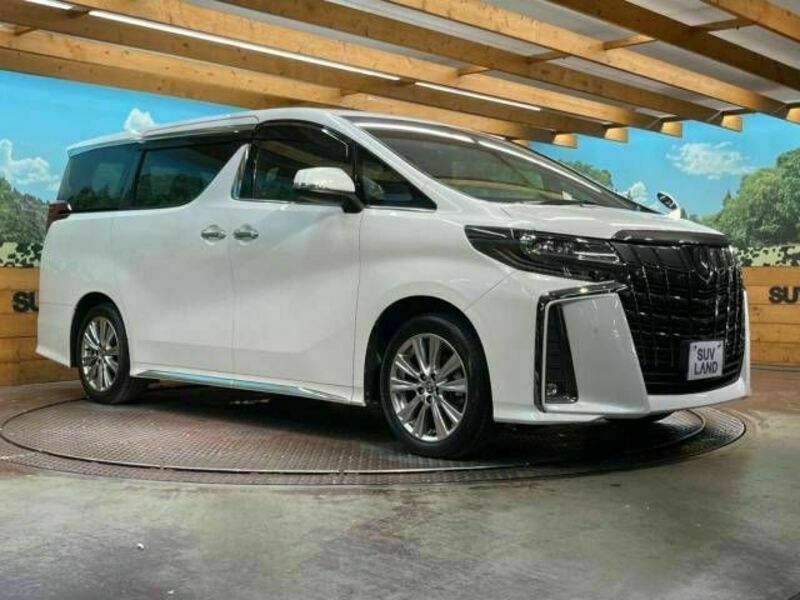 ALPHARD-17