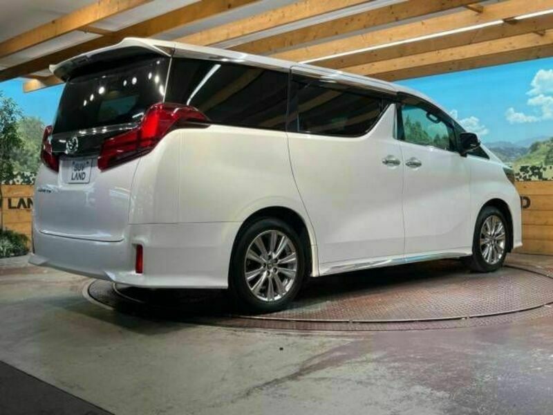 ALPHARD-18