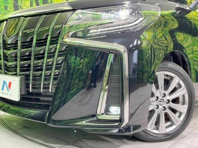 ALPHARD-14