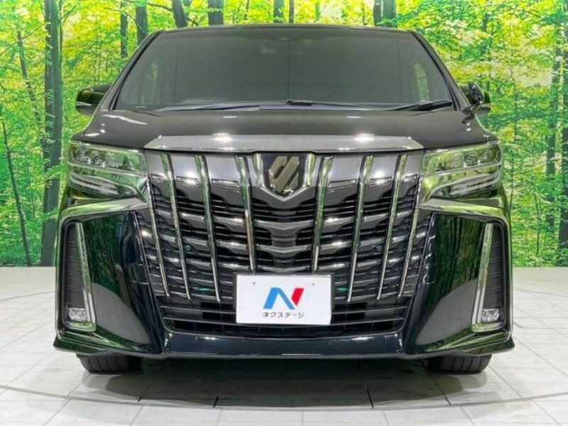 ALPHARD-16