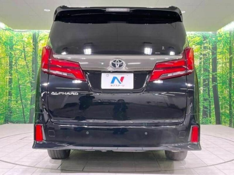 ALPHARD-17