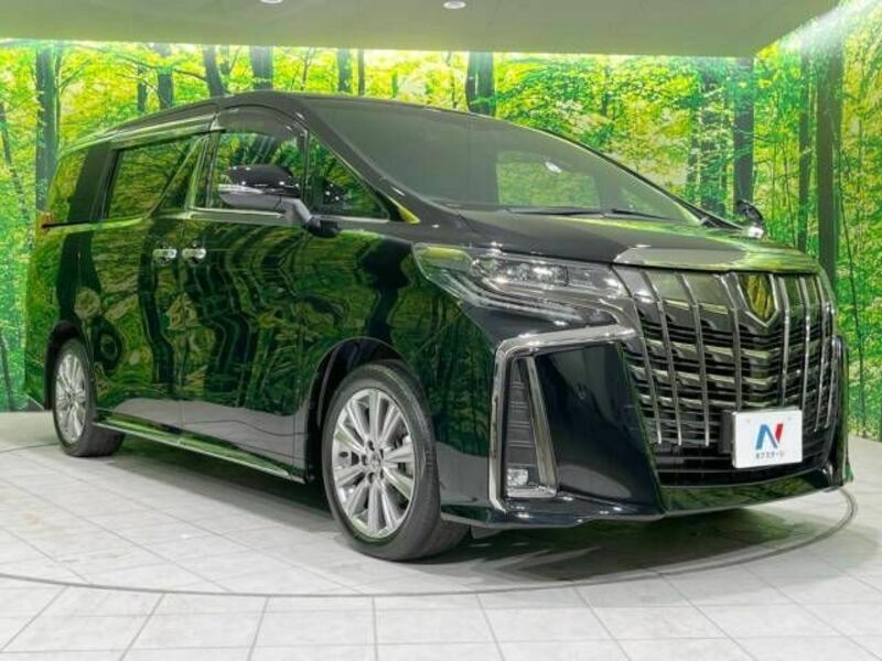 ALPHARD-18