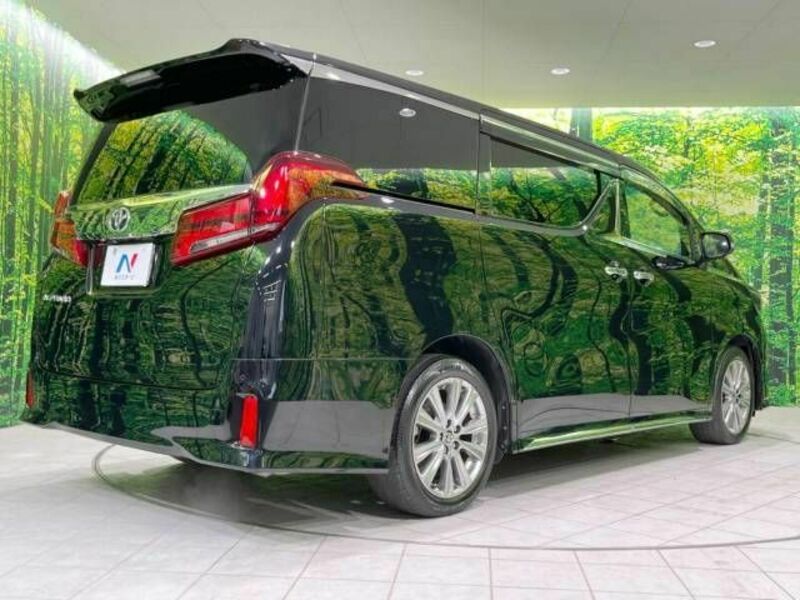 ALPHARD-19