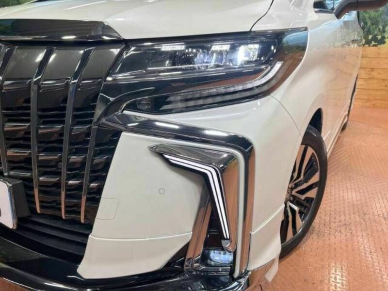 ALPHARD-13