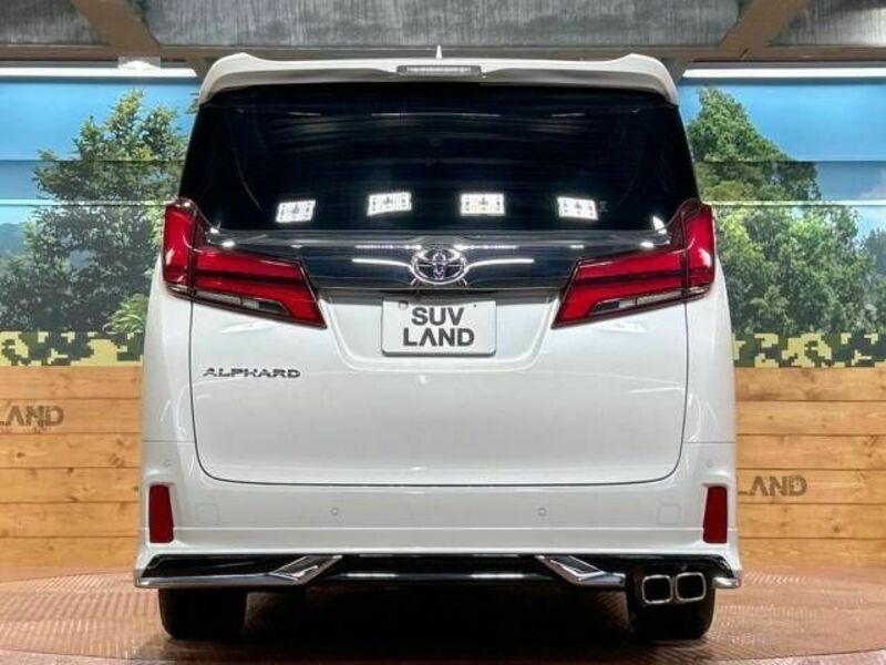 ALPHARD-16