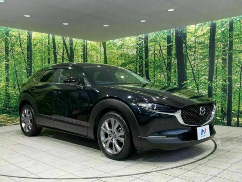 CX-30-14