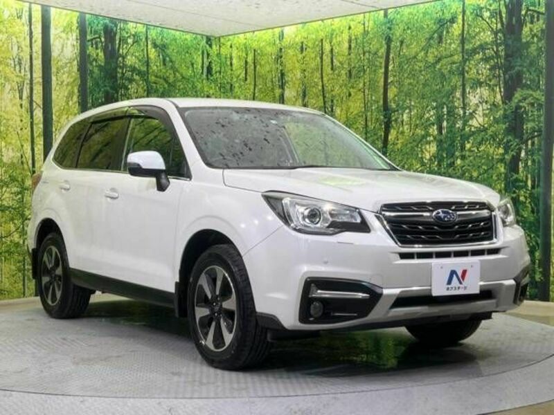 FORESTER-16