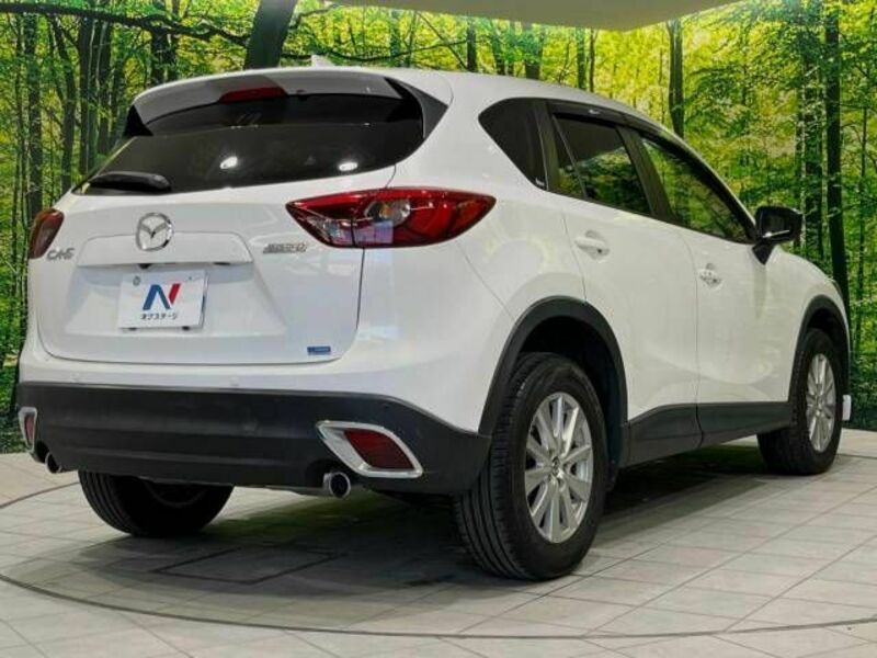 CX-5-17