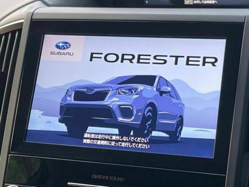 FORESTER-8