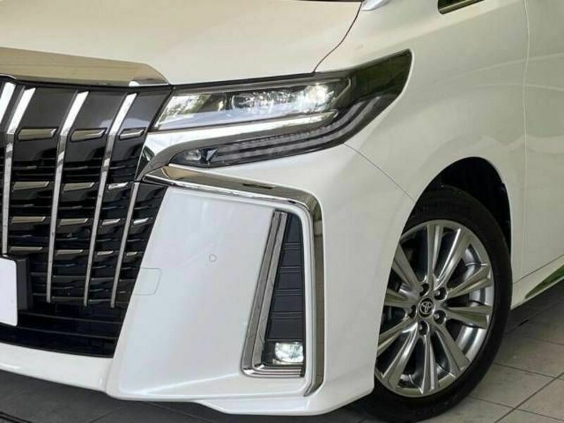 ALPHARD-12