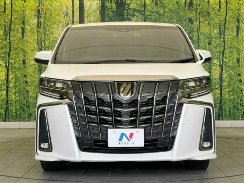 ALPHARD-14