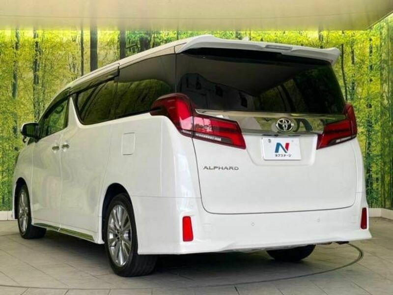 ALPHARD-17