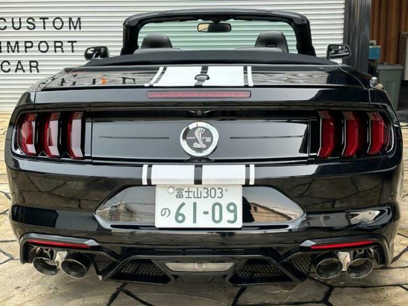 MUSTANG