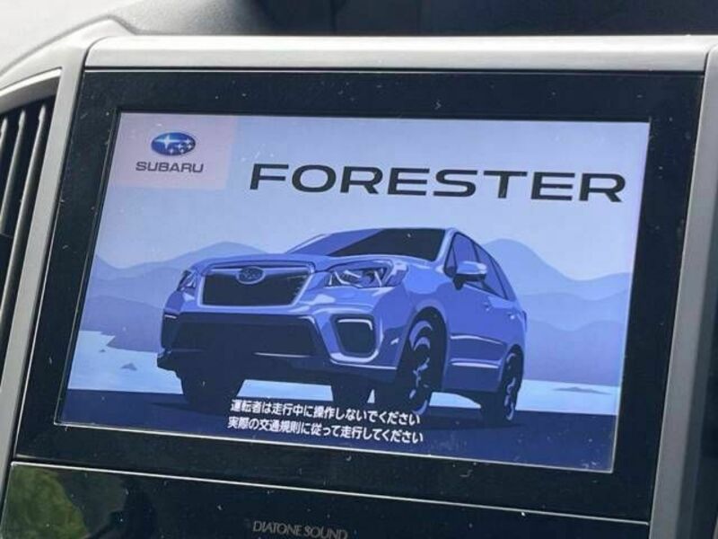 FORESTER-4