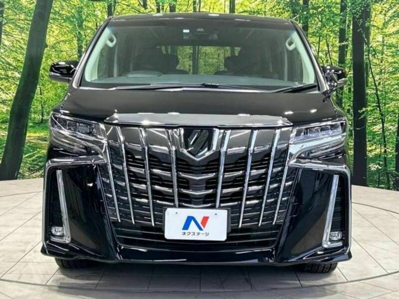 ALPHARD-14