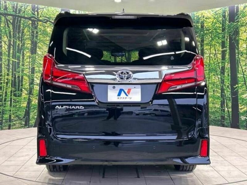 ALPHARD-15