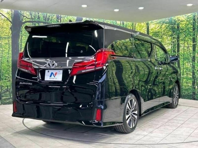 ALPHARD-17