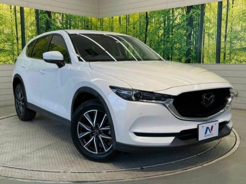 CX-5-16