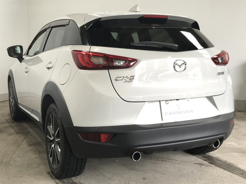 CX-3-10