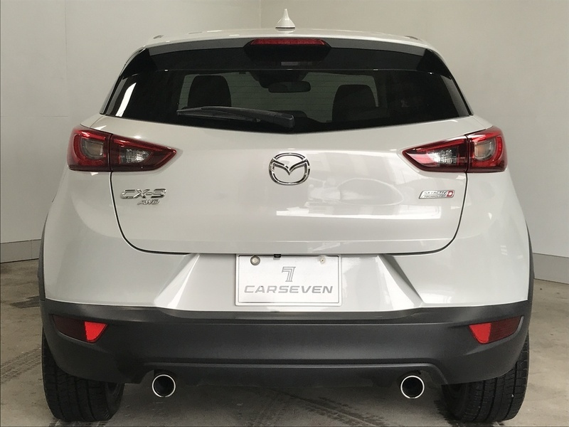 CX-3-3