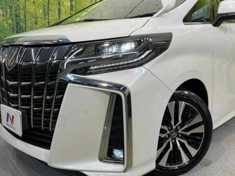 ALPHARD-13