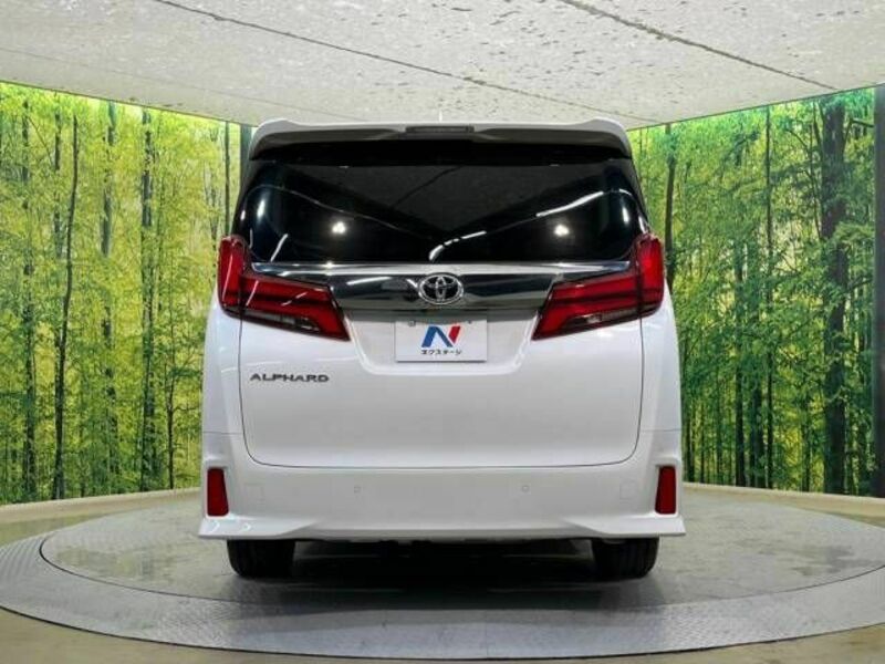 ALPHARD-16