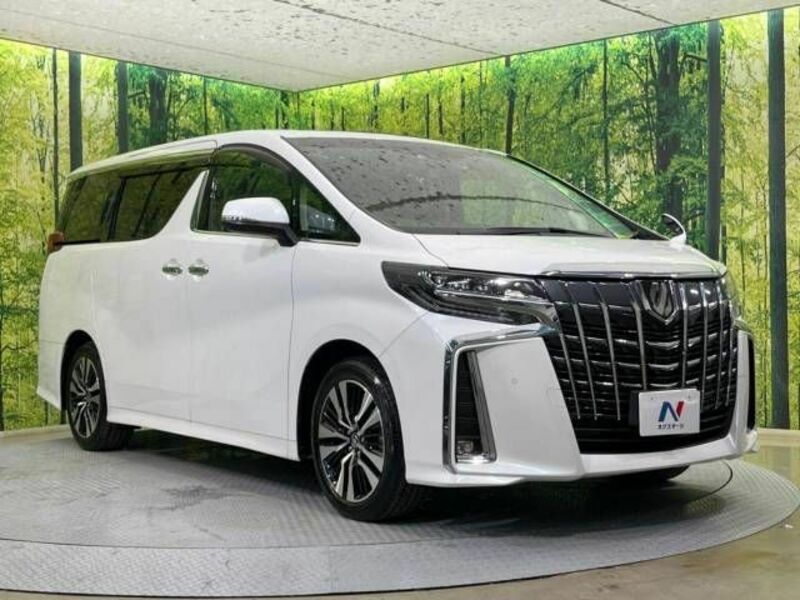 ALPHARD-17