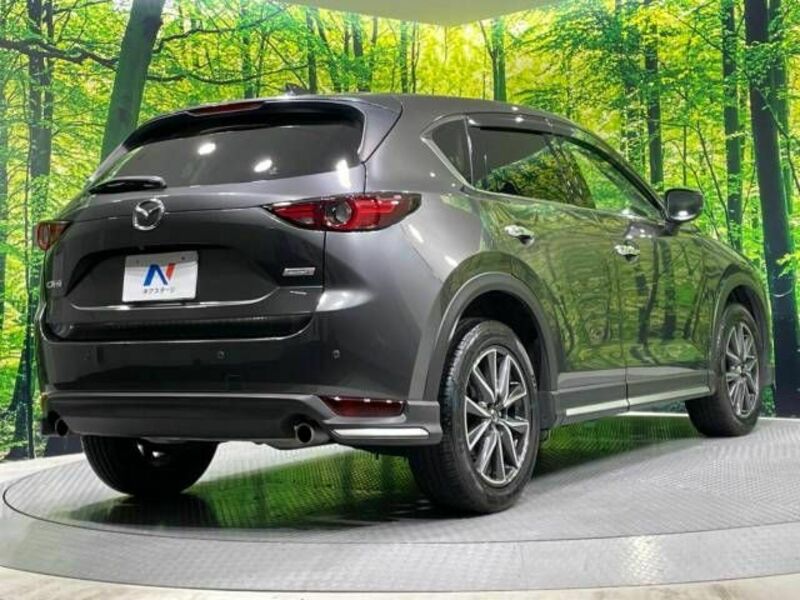 CX-5-17