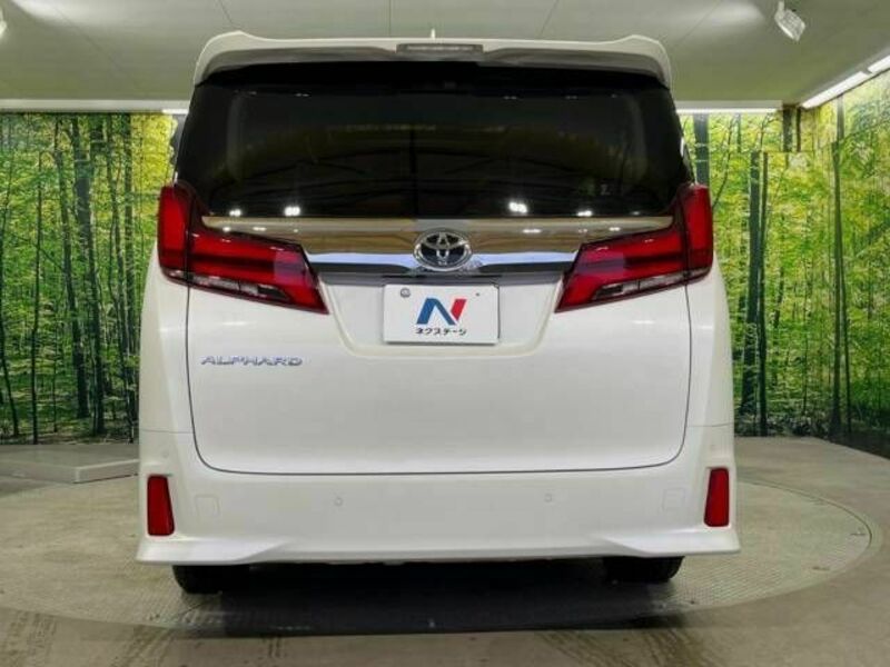 ALPHARD-15