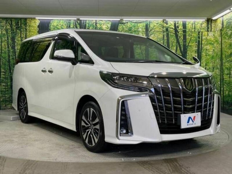 ALPHARD-16