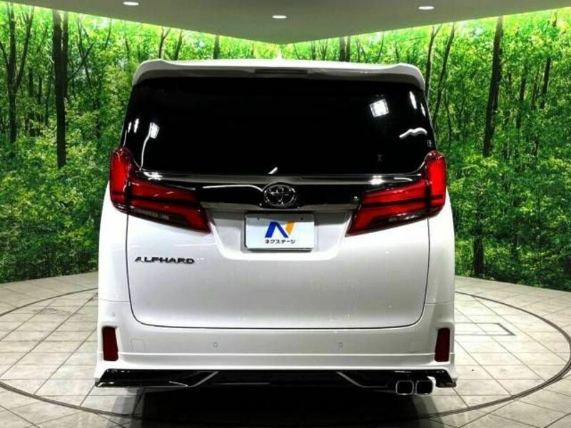 ALPHARD-16