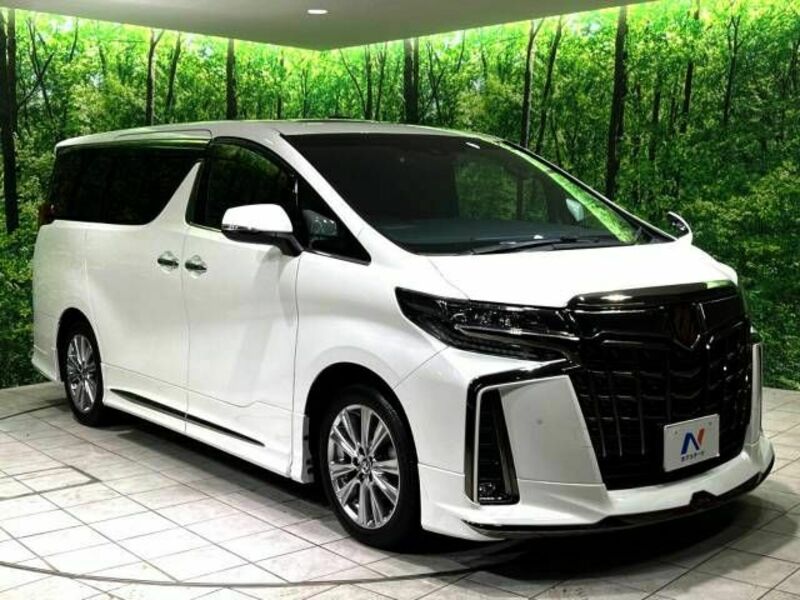 ALPHARD-17