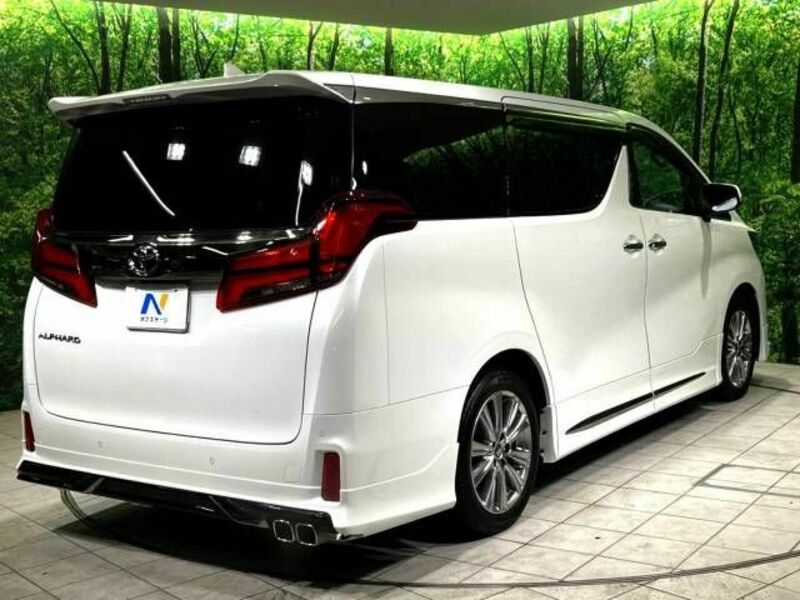 ALPHARD-18