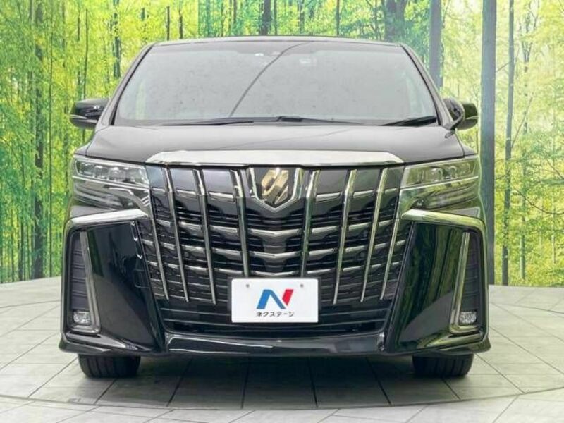 ALPHARD-15