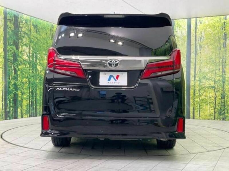 ALPHARD-16