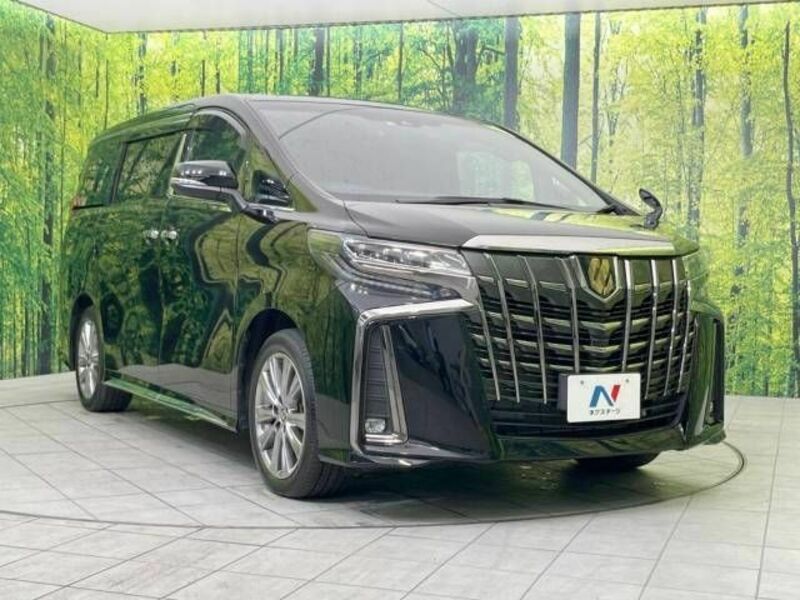 ALPHARD-17