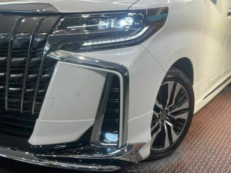 ALPHARD-13