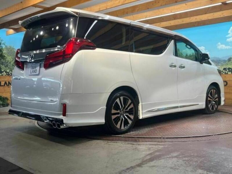 ALPHARD-18