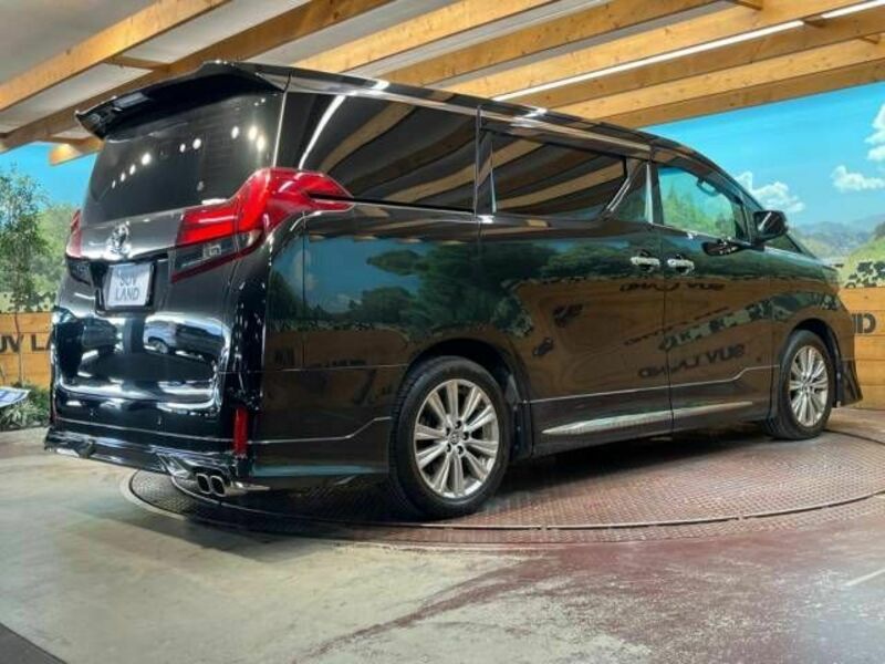 ALPHARD-18